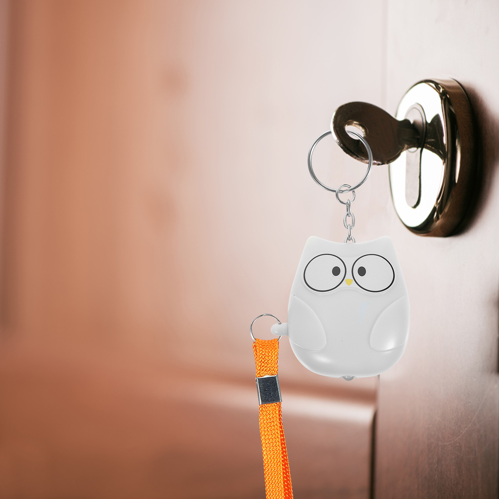 Owl Personal Alarm for Women K - Personal Alarm Keychain review and price